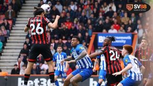 Thông tin lực lượng Bournemouth vs Brighton mới nhất